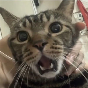 Meet your Posher, Zoe